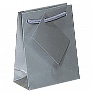 Gloss Paper Shopping Bags - Silver