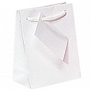 Gloss Paper Shopping Bags - White