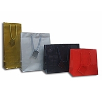 Gloss Paper Shopping Bags