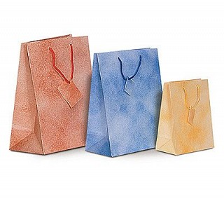 Pastel Tote Paper Bags