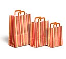 Paper Handle Shopping Bags - Striped
