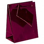 Gloss Paper Shopping Bags - Burgundy