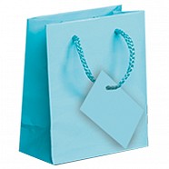 Gloss Paper Shopping Bags - Aqua
