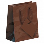 Gloss Paper Shopping Bags - Brown