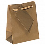 Gloss Paper Shopping Bags - Gold