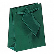 Gloss Paper Shopping Bags - Green
