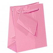 Gloss Paper Shopping Bags - Pink
