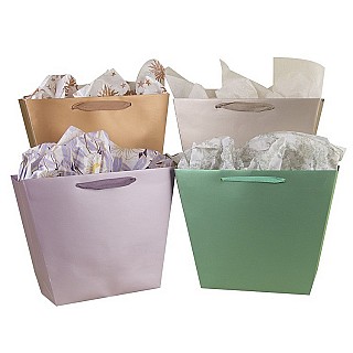 Metallic Trapezoid Paper Bags