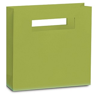 Modern Laminated Paper Bags