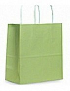Colour Tone on White Shopping Bags - Mint