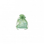 Organza Iridenscent Bags - Green